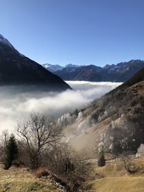 Frozen trees and sea of fog in Uri Switzerland OC x