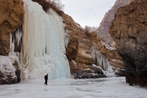 Frozen Zanskar river Ladakh India  Photo creditsAruna Bhat