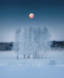 Full moon north of Finland by samimatias