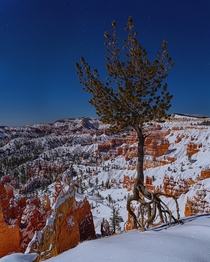 Full moon over a snowy Bryce Canyon Utah 