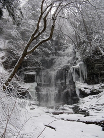 Ganoga Falls in Ricketts Glen State Park Pennsylvania 