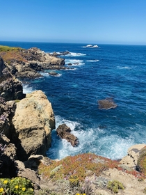 Garrapata State Park Monterey CA 