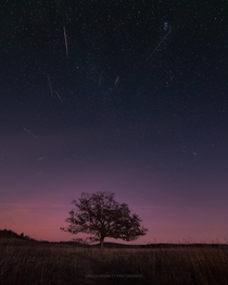 Geminids Meteor Shower - Shenandoah National Park Virginia - Dec    OC