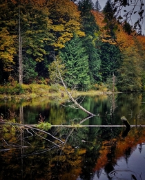 Geneva Pond at Stimpson Nature Reserve in Bellingham Washington 