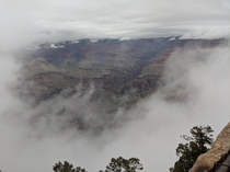 Getting a glimpse of the Grand Canyon Arizona through the fog 