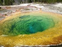 Geyser in Yellowstone National Park looks like something in a Dr Seuss book 