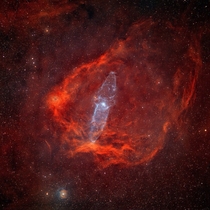 Giant squid-shaped nebula or Ou lies within Sh- or flying bat nebula some  light-years away toward the constellation Cepheus Credit Rolf Geissinger