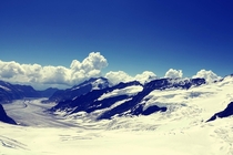 Glacier from Jungfraujoch Switzerland x 