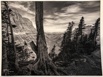 Glacier NP High line Trail  x  Image of the print