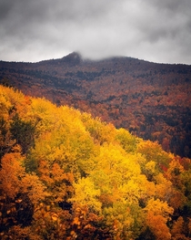 Gloomy autumn day in the Catskills NY OC 