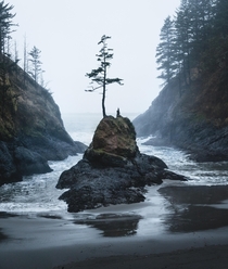 Gloomy days are actually beautiful Dead Mans Cove Washington 