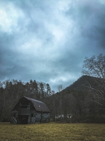 Gloomy North Carolina vibes 