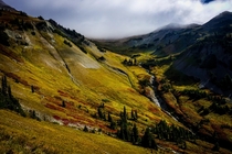 Goat Rocks Wilderness WA is a must see in the fall 