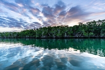 Golden hour in the Florida Keys backcountry 
