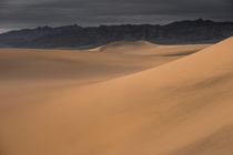Golden light on the Mesquite Flat Sand Dunes Death Valley National Park CA 