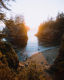Golden light on the Oregon Coast Brookings OR 