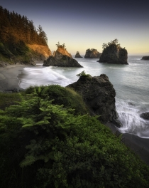 Golden light shining on sea stacks of the Oregon Coast 
