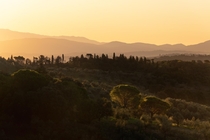 Golden sunrise in Tuscany 