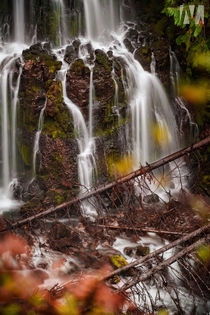 Gooch Falls Marion Forks - Oregon x photo by Nicholas Morgan Photogragphy