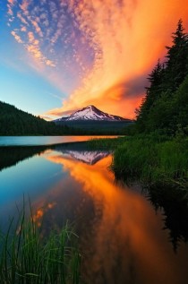Gorgeous Sunset  Oregon 
