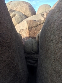 Got an upskirt of Mother Nature in Joshua Tree National Park last month 
