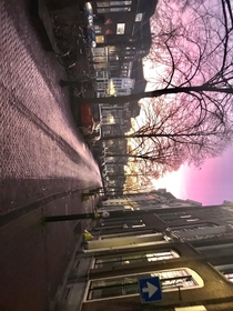 Gouda Netherlands this morning on my way to school