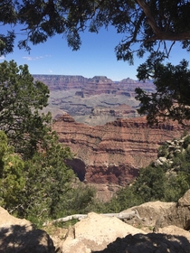Grand Canyon May   x 