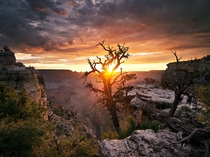 Grand Canyon National Park Arizona - Hark Lee 