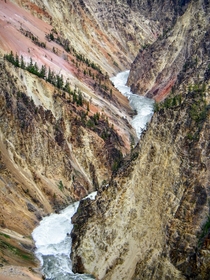 Grand Canyon of the Yellowstone WY USA 
