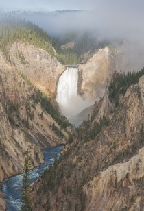 Grand Canyon of Yellowstone never gets old Yellowstone NP Wyoming 