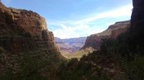 Grand Canyon on the trail to Indian Gardens Arizona 