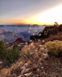 Grand Canyon Sunrise USA  x