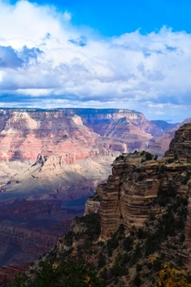 Grand Canyon  x 