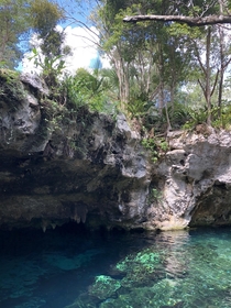 Grand Cenote Riviera Maya Quintana Roo Mexico 