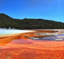 Grand Prismatic Spring in Yellowstone National Park 