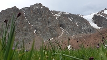 Grass on the Talgar pass Almaty Kazakhstan 