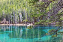 Grassi Lakes Alberta 