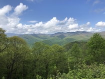 Great Smoky Mountains National Park NC OC x