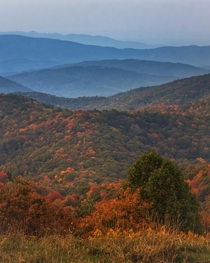 Great Smoky Mountains - Pisgah National Forest North Carolina 