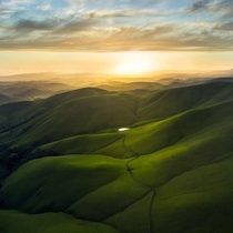 Green Hills Of California 