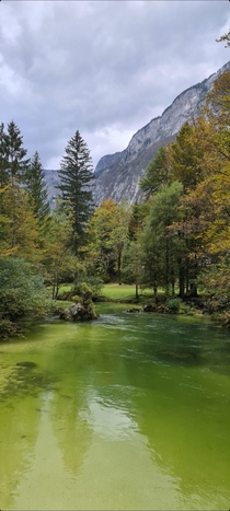 Green River Bohinjka in Bohinj Slovenia 