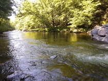 Greenbrier river just outside Gatlinburg TN 