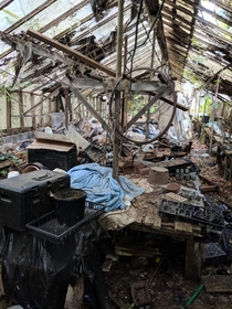 Greenhouse items left to decay North Jersey 