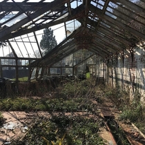 Greenhouse left to decay