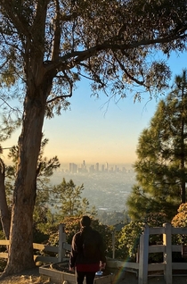 Griffith Park Los Angeles California 
