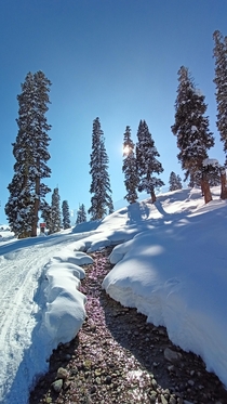 Gulmarg Jammu and Kashmir India 