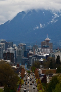 Had to climb a tree in the centre divide of the road to get this photo of Vancouver