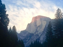Half Dome at Sunset Curry Village Yosemite National Park 