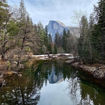 Half Dome from Mirror Lake Yosemite Valley Taken by Viviana Suarez 