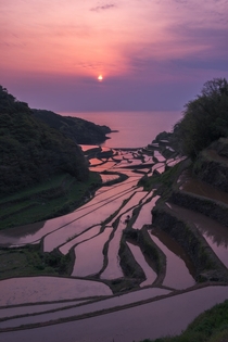 Hamanoura Rice Terraces of Saga Japan